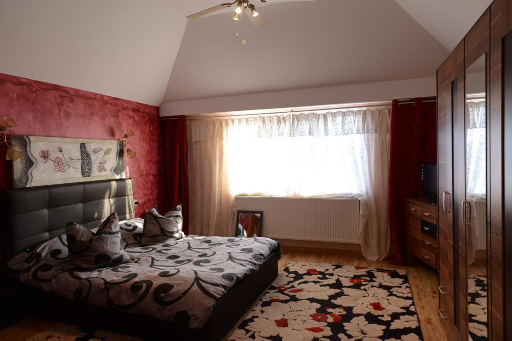 Vila Perla Sapanteana Сэпынца Номер фото